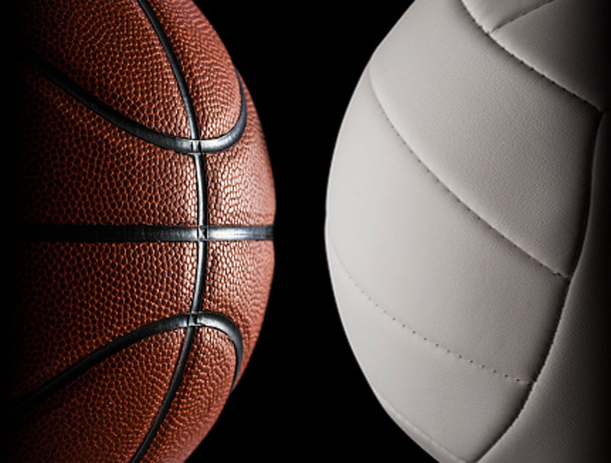 Adult Sports League