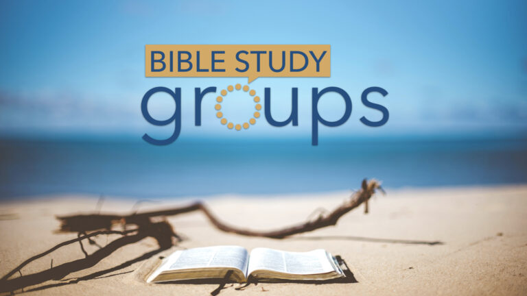 Student Bible Study Groups